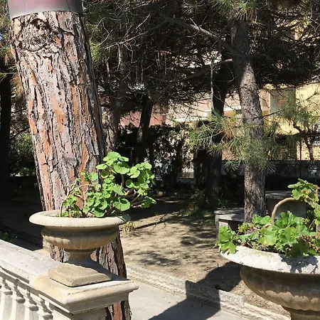 Apartment Ein-zimmer-wohnung Smeralda In Lido By Interhome Tortoreto