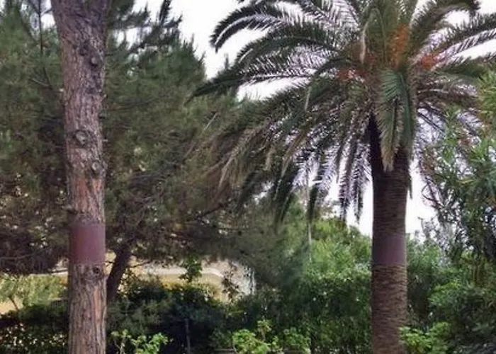 Ein-zimmer-wohnung Smeralda In Lido By Interhome アパート *